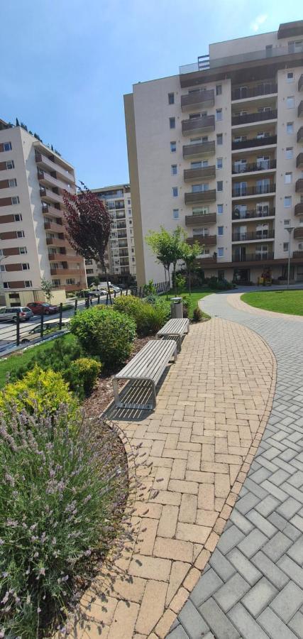 Apartment Alios Lux 布拉索夫 外观 照片