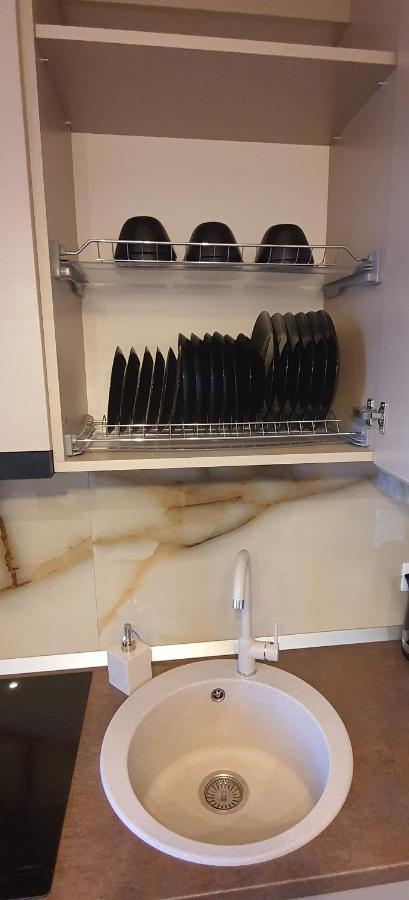 Apartment Alios Lux 布拉索夫 外观 照片