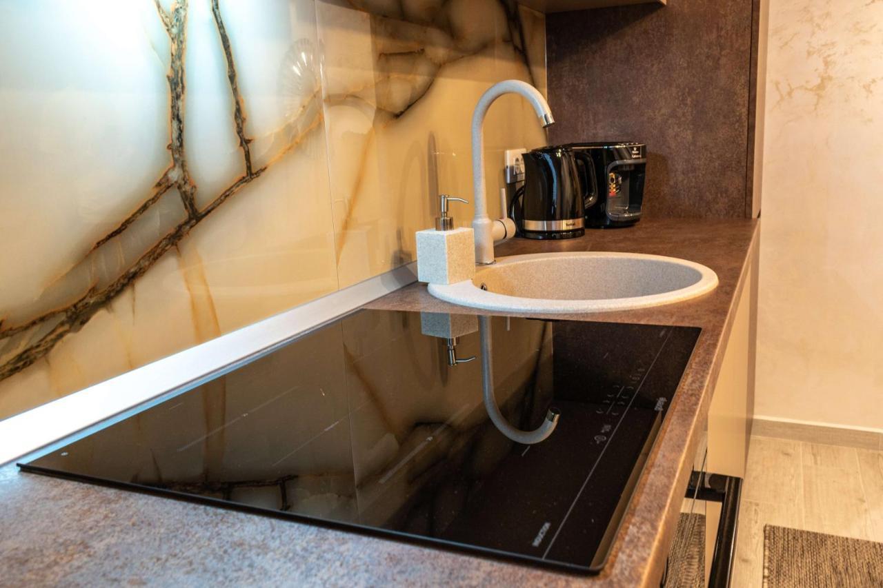 Apartment Alios Lux 布拉索夫 外观 照片