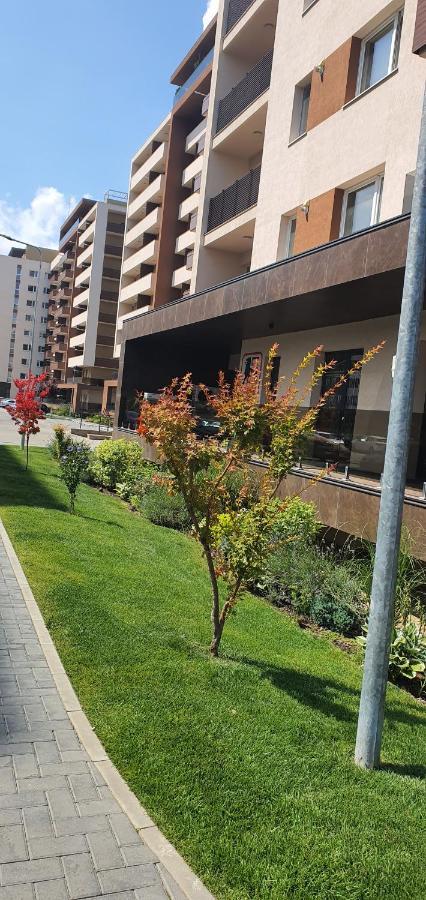 Apartment Alios Lux 布拉索夫 外观 照片
